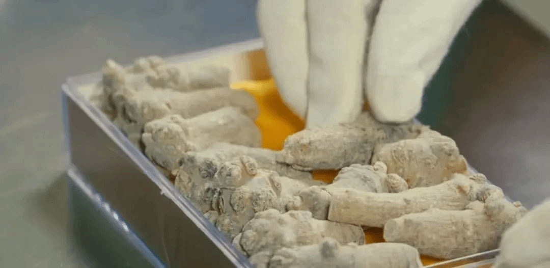 永乐高70net(中国)有限公司-BinG百科