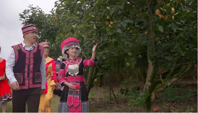 永乐高70net(中国)有限公司-BinG百科