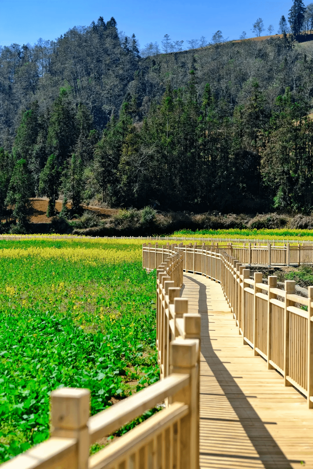 永乐高70net(中国)有限公司-BinG百科