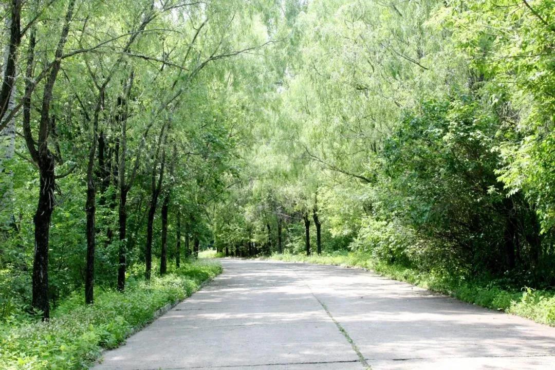 永乐高70net(中国)有限公司-BinG百科