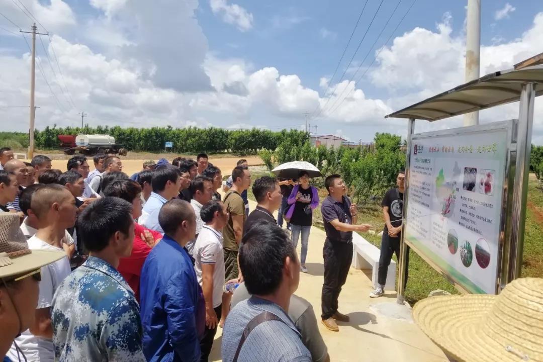 永乐高70net(中国)有限公司-BinG百科