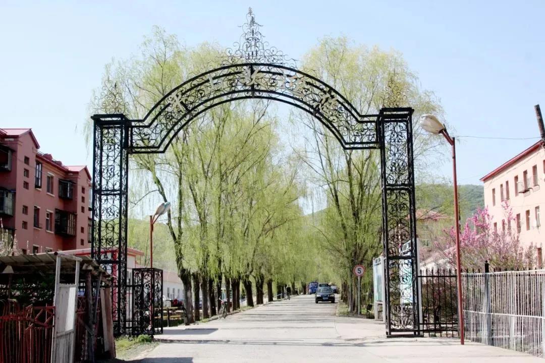 永乐高70net(中国)有限公司-BinG百科