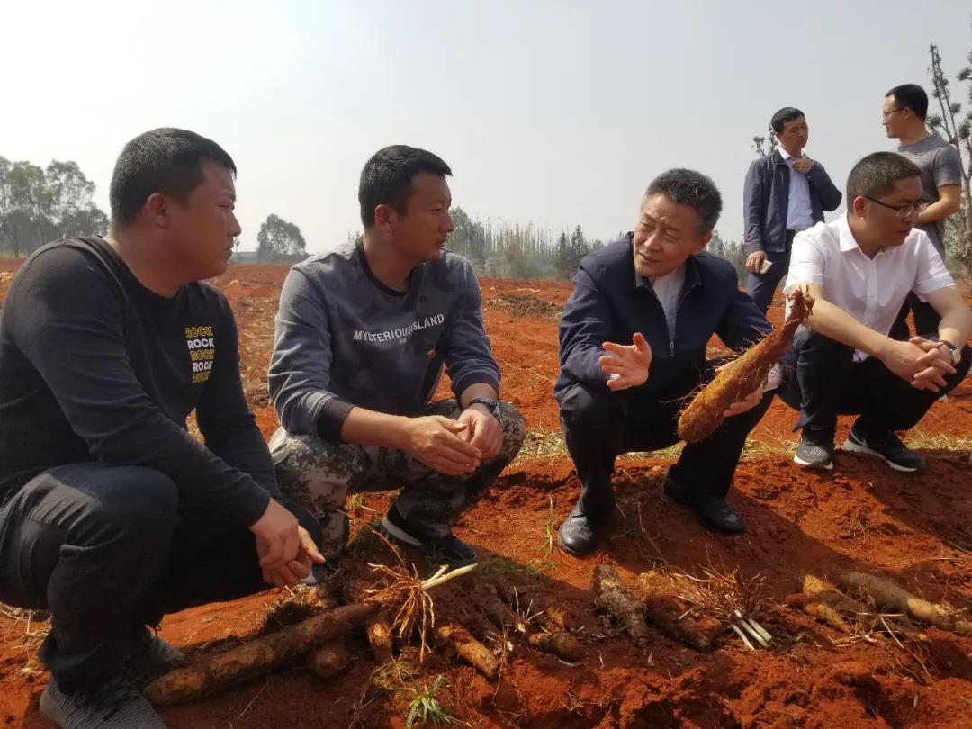 永乐高70net(中国)有限公司-BinG百科