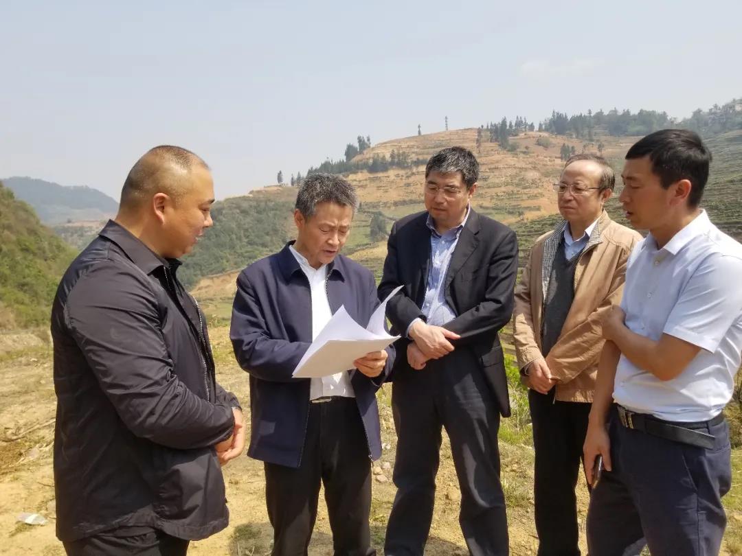 永乐高70net(中国)有限公司-BinG百科